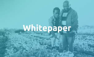 DFA Whitepaper